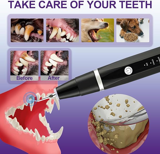 Dog Teeth Cleaning Kit-Dog Tooth Plaque Remover-Ultimate Pet Dental Care Kit - Ultrasonic Teeth Cleaner and Plaque Remover for Dogs | Complete Oral Hygiene Solution-Black