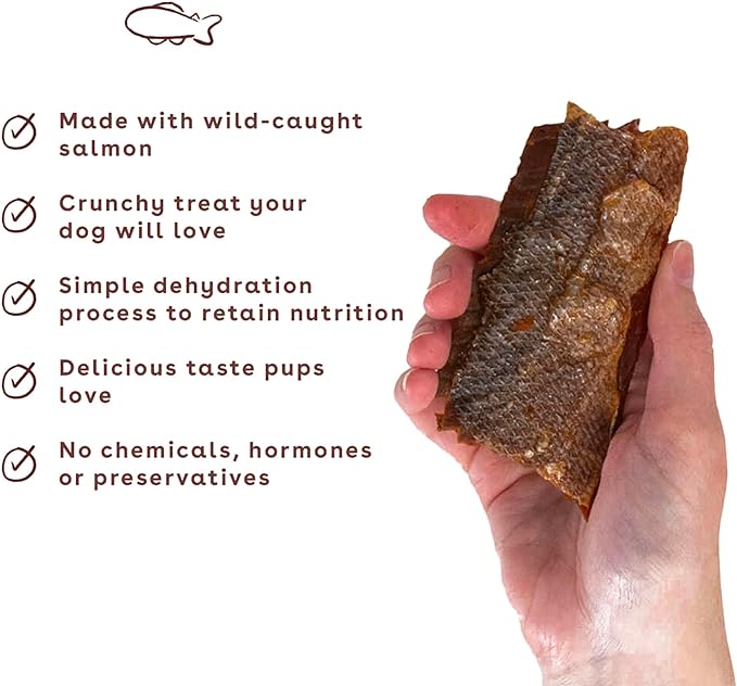 Pupford Salmon Jerky Treats for Dogs for Large & Small Dogs of All Ages | Made in USA, 100% Real Meat & No Fillers | Dogs Love These Tasty Dog Snacks (Salmon 4 oz)