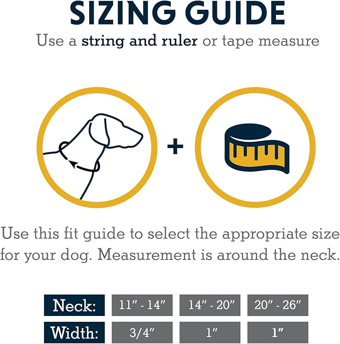 Ruffwear, Flat Out Dog Collar (Formerly Hoopie), Webbing Collar for Walking and Everyday Use, Fall Mountains, 11"-14"