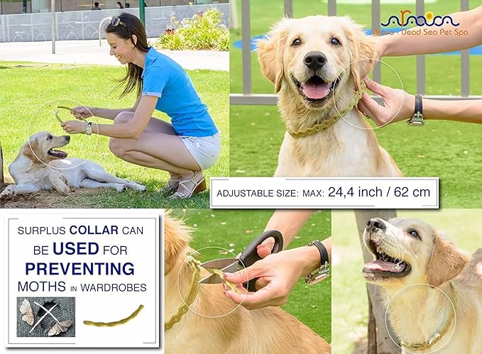 Arava Flea and Tick Collar for Dogs & Puppies - Natural Flea and Tick Prevention for Dogs - 22" Length - 11 Natural Active Ingredients - Safe for Babies & Pets - Enhanced Control & Defense