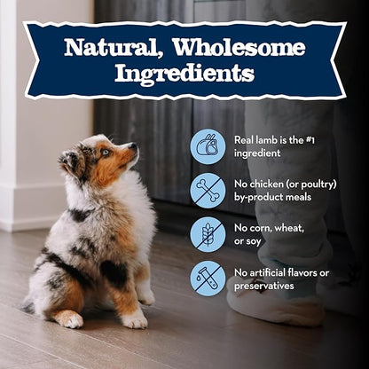 Blue Buffalo Baby BLUE Natural Puppy Wet Dog Food, Healthy Growth Formula with DHA, Lamb and Vegetable Recipe, 3.5-oz. Cups (12 Count)