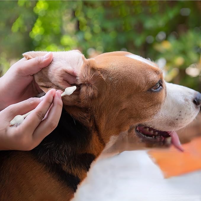 Avont Dog Ear Cleaning Cotton Swabs, Pet Qtips, Ear Care Double Sided Large Q-Tips for Dogs Cats -L