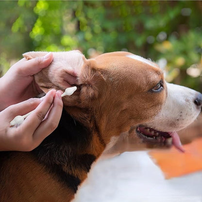 Avont Dog Ear Cleaning Cotton Swabs, Pet Qtips, Ear Care Double Sided Large Q-Tips for Dogs Cats -L