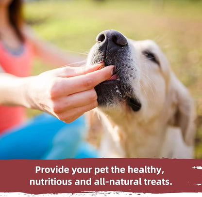Jungle Calling Soft Chicken Treats for Dog and Cat, Natural Grain Free Chewy Food Snacks for Training Rewards for Small Dogs, High Protein, 10.6 oz