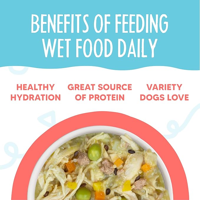 Weruva Meals 'n More Natural Wet Dog Food, Jammin' Salmon Plus Skin & Coat Health, 3.5oz Cup (Pack of 12)