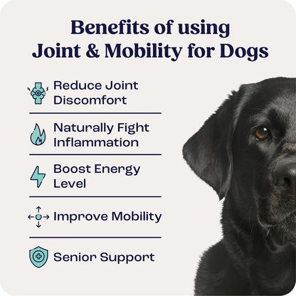 Summit Animal Lift Canine Pain Relief Health Supplement - Inflammation Hip & Joint Support Vitamin, All Natural Liquid Chrondroitin with Liposomal Delivery for Arthritis (Large Dogs Over 75lbs)