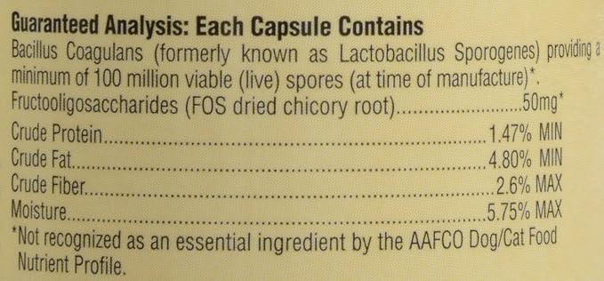 Ark Naturals, Gentle Digest, 60 caps