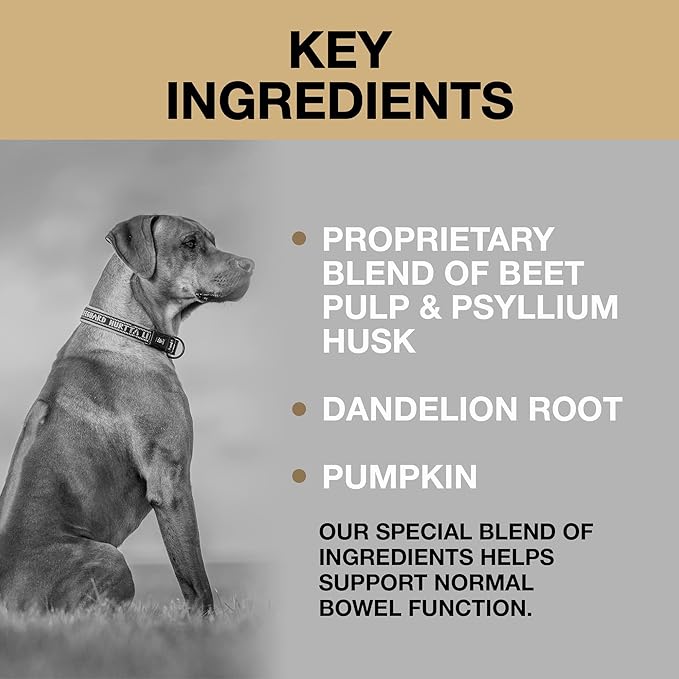 Anal Gland Support Soft Chews for Dogs - Dog Supplements with Beet Pulp, Psyllium Husk, Dandelion Root & Pumpkin - Digestive & Gut Health, Normal Bowel Function - Beef Flavor, 60 Count