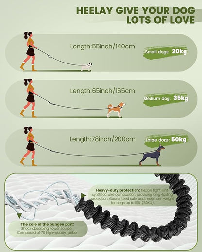 Hands Free Dog Leash for Medium and Large Dogs with Waist Belt Pouch Leash 55-78" Running Dog Leash for Training Hiking Jogging Running Walking with Double Hand Loops Reflective Stitches Green