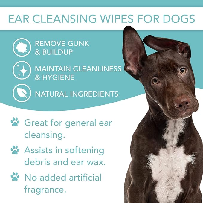 Fragrance Free Ear Wipes for Dogs (2-Pack)
