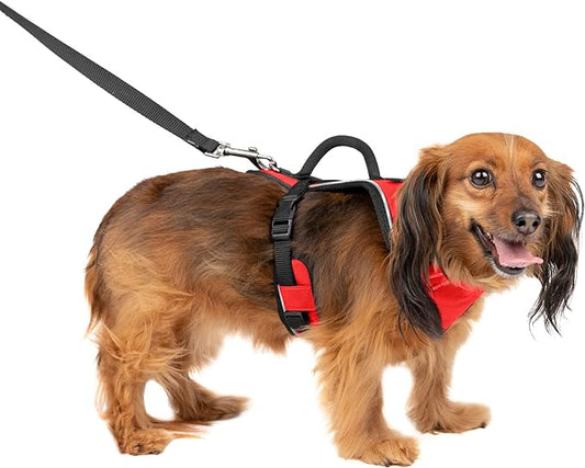 PetSafe EasySport Dog Harness, Adjustable Padded Dog Harness with Control Handle and Reflective Piping, From the Makers of the Easy Walk Harness Red Extra Small