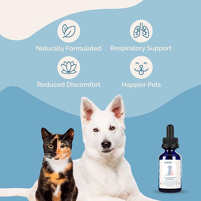 Respiratory Support Supplement for Dogs & Cats | Naturally Promotes Optimal Respiratory Function in Pets | Safely aids with Symptoms of Seasonal Allergies | by Prana Pets
