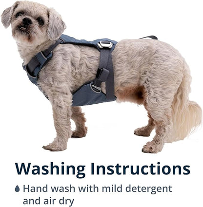 Ruffwear, Load Up Dog Harness, Strength-Rated Car Safety Harness with Universal Seat Belt Attachment, Slate Blue, Small