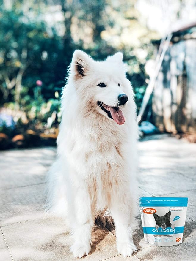 Collagen for Dogs: All Natural Premium Non GMO Collagen. Supports Healthy Joints, Skin, Fur, Digestion.