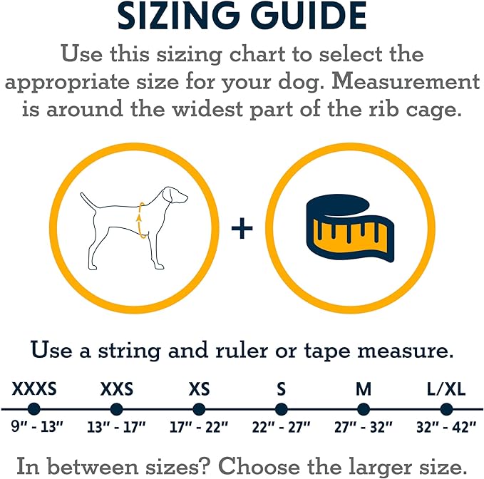 Ruffwear, Hi & Light, Everyday Lightweight Dog Harness, Trail Running, Walking, Hiking, All-Day Wear, Blue Dusk, XX-Small