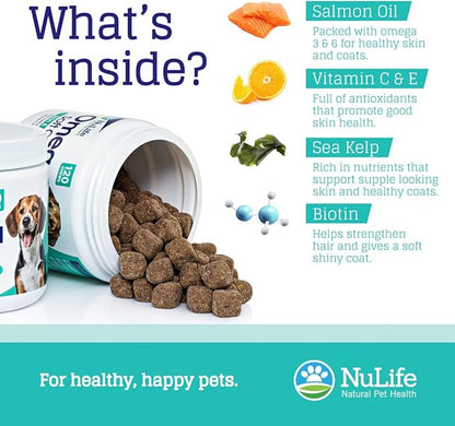 Omega Skin and Coat Chews for Dogs, Wild Salmon Dog Treats with Biotin & Vitamin E, Helps with Itchy Skin, Allergy Relief & Shedding, Omega 3 6 9, EPA & DHA Fatty Acids, Made in USA, 120 Chews