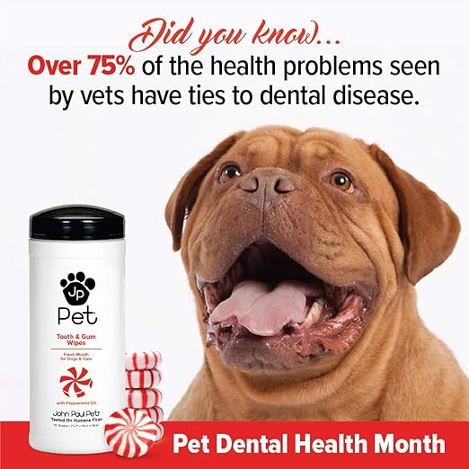 John Paul Pet Tooth & Gum Pet Wipes for Dogs and Cats, 2 in 1, Infused with Peppermint Oil, Safely Clean Plaque, Cruelty Free, Paraben Free, Made in USA, 45 Count, (JPPW05)