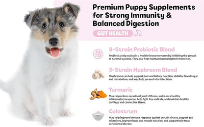Puppy Bites by Snuggle Puppy, Gut Health, 60 Count Probiotic Supplement for Strong Immunity & Digestive Support for Puppies, Tasty Chew with Pumpkin, Mushrooms, Pectin, Dandelion & More