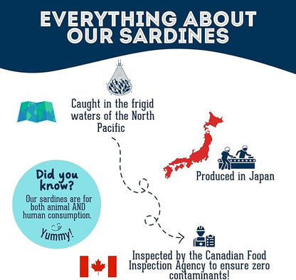 Sardines for Dogs & Sardines for Cats (3.17 oz, Pack of 1) - Dehydrated Single Ingredient Dog Treats - Natural Dog Treats, Grain Free