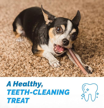 6 Inch Bully Sticks for Dogs (1 Pound Bag) 100% Natural Chews for Dogs & Puppies - Grass-Fed Free-Range Premium Beef Dog Chews - Bulk Dog Sticks Chew Dental Treats