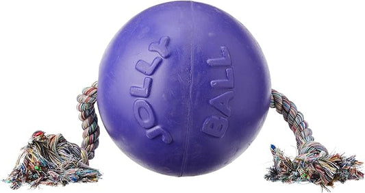 Jolly Pets Romp-n-Roll Rope and Ball Dog Toy, 8 Inches/Large, Purple, Large Breeds