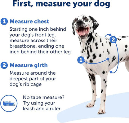 PetSafe Easy Walk Dog Harness - No Pull Dog Harness - Large, Apple Green