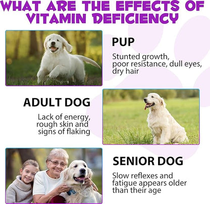 15 in 1 Dog Multivitamin Drops for Dogs - Dog Vitamins & Supplements Natural Dog Multivitamins and Minerals - Glucosamine, MSM for Skin & Coat, Heart Health, Bones, Joint, Immune System Support