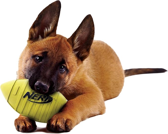 Nerf Dog Rubber Football Dog Toy with Squeaker, Lightweight, Durable and Water Resistant, 7 Inch Diameter for Medium/Large Breeds, Single Unit, Green, Model:6997
