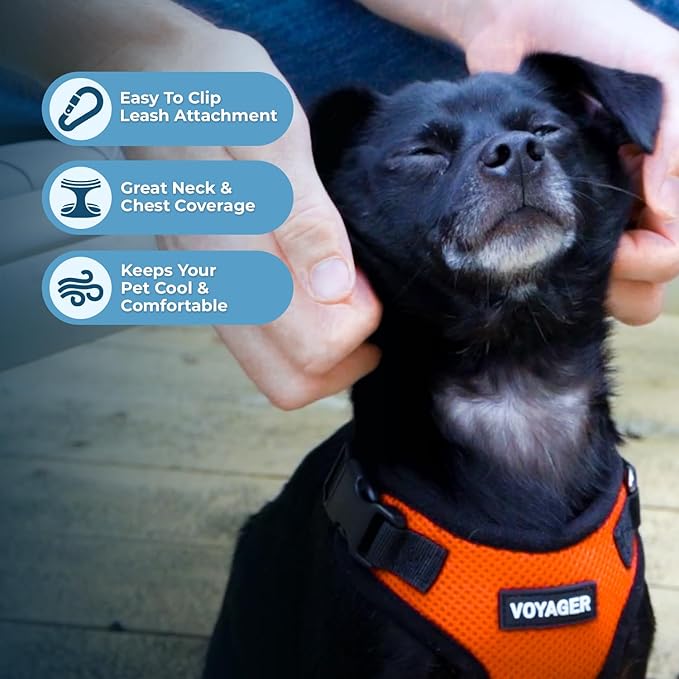 Voyager Step-in Lock Dog Harness w Reflective Dog Leash Combo Set with Neoprene Handle 5ft - Supports Small, Medium and Large Breed Puppies/Cats by Best Pet Supplies - Orange/Black Trim, XS