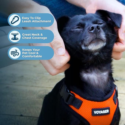 Voyager Step-in Lock Dog Harness w Reflective Dog Leash Combo Set with Neoprene Handle 5ft - Supports Small, Medium and Large Breed Puppies/Cats by Best Pet Supplies - Orange/Black Trim, M