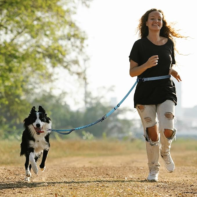 Roses&Poetry Dog Leashes for Large Dogs Heavy Duty,No Pull Bungee Dog Running Waist Leash for Walking Training with Car Seatbelt 4-6FT