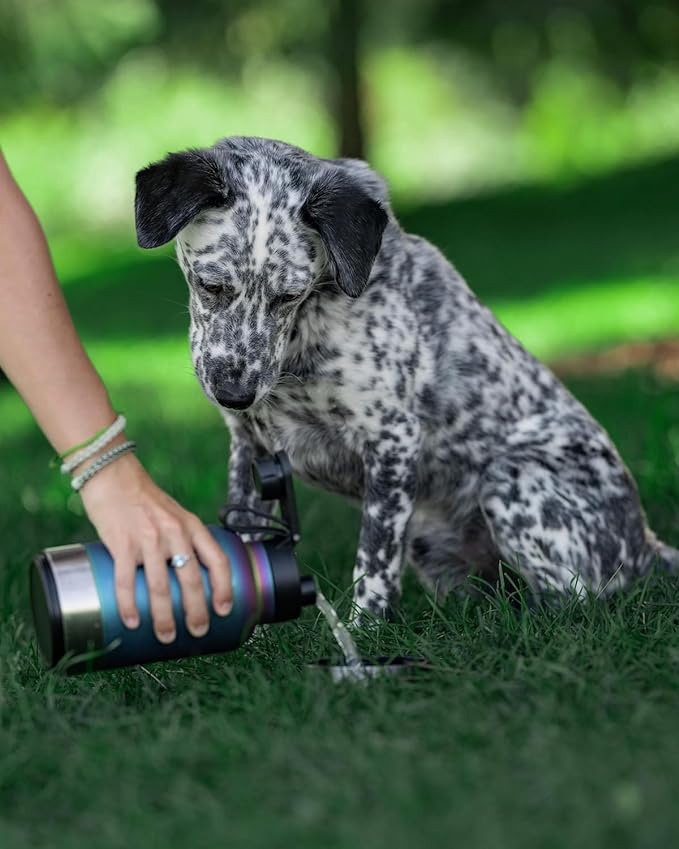 IRON °FLASK Portable Dog Water Bottle & Bowl - All-in-One Travel Accessories Pet Food & Liquids for Car, Hiking, Camping - Leak-Proof, Double Walled, Insulated - 32 oz, 2 Dog Bowls - Dark Pine
