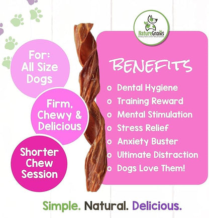 Nature Gnaws - Beef Jerky Springs for Dogs - Premium Natural Beef Gullet Sticks - Simple Single Ingredient Tasty Dog Chew Treats - Rawhide Free 7-8 Inch