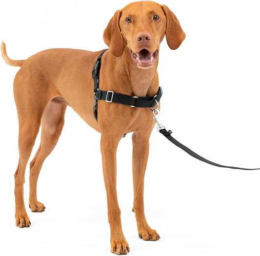 PetSafe Easy Walk Dog Harness - Stop Pulling & Teach Leash Manners - Prevent Pulling on Walks - Medium, Charcoal/Black