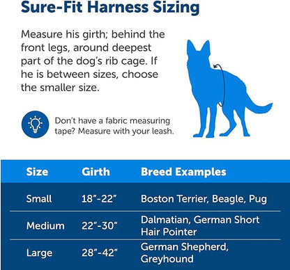 PetSafe Sure-Fit Harness – Five Point Adjustable Dog Harness – from the Makers of the Easy Walk Harness – Large, Red