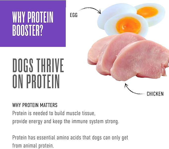 Tiki Dog Born Carnivore Protein Booster Dog Food Topper, Chicken and Egg Recipe in Broth, 2.1 oz. Pouch (12 Count)