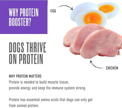 Tiki Dog Born Carnivore Protein Booster Dog Food Topper, Chicken and Egg Recipe in Broth, 2.1 oz. Pouch (12 Count)
