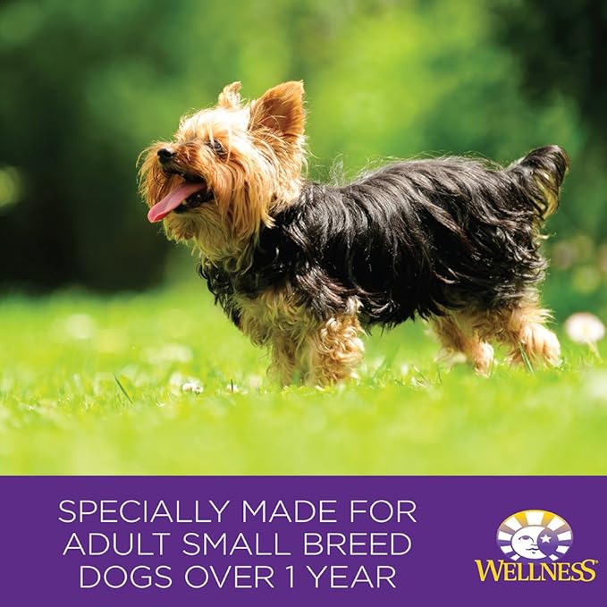 Wellness Petite Entrees Casserole Natural Grain Free Wet Small Breed Dog Food, Tender Chicken, 3-Ounce Cup
