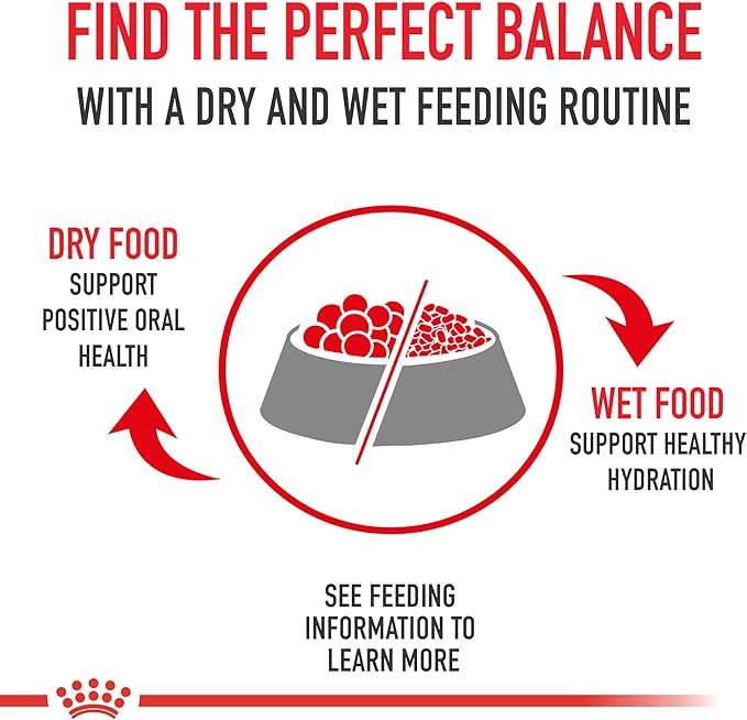 Royal Canin Size Health Nutrition Large Puppy Dry Dog Food, 35 lb bag