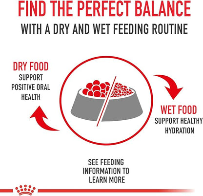Royal Canin Size Health Nutrition Large Puppy Dry Dog Food, 35 lb bag