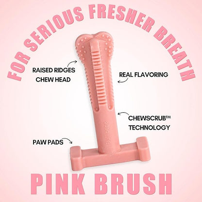 Bullibone SuperBrush: Dog Teeth Cleaning Brushing Toothbrush Stick - Long Lasting Nylon Pink Peppermint Chew Toy for Oral Care and Dental Health