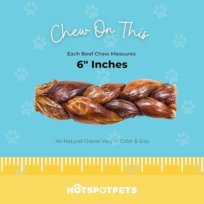 hotspot pets Thick Esophagus Braided Sticks Dog Chews - All Natural Beef Chews from Grass Fed Cattle - Rich in Glucosamine & Chondroitin - Great Rawhide Alternative (5 Pack)