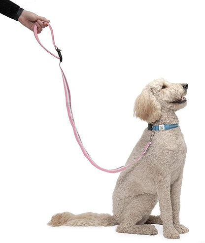 Furhaven Bungee Dog Leash w/ Quick Release Easy Tether - Mermaid Stripe, One Size
