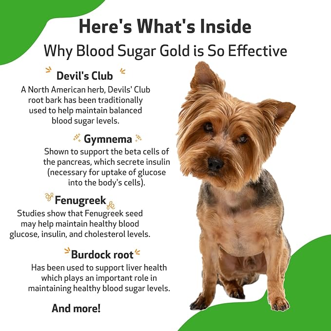 Pet Wellbeing Blood Sugar Gold for Dogs - Vet-Formulated - Supports Blood Sugar Balance, Healthy Pancreas & Liver - Natural Herbal Supplement 2 oz (59 ml)