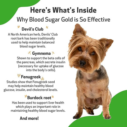 Pet Wellbeing Blood Sugar Gold for Dogs - Vet-Formulated - Supports Blood Sugar Balance, Healthy Pancreas & Liver - Natural Herbal Supplement 2 oz (59 ml)