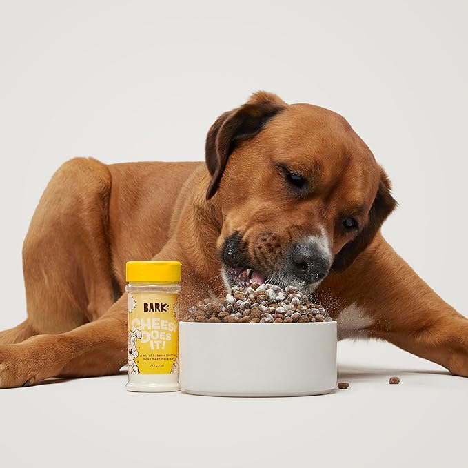 Barkbox – Cheesy Does It! – Dry Dog Food Toppers with High Protein, Limited Ingredients – Meal Flavor Enhancer for Large & Small Breeds – 4.6 Oz