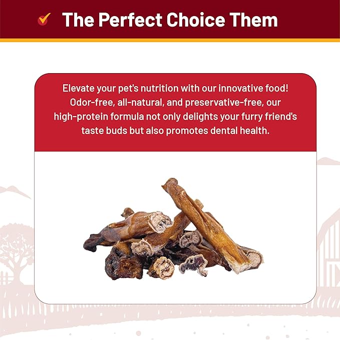 from The Farm Bully Stick 8 inch - Dog Bully Sticks - Odor Free Bully Sticks - Nature Gnaws Natural Dog Chews - Odor Free Bully Sticks for Dogs - Bully Sticks for Medium Dogs