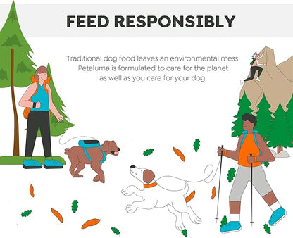 Petaluma Sweet Potato Dog Treats - Premium One-Ingredient Dog Jerky, Healthy Alternative to Meat, Organic Chews for Dogs, with Fiber and Beta-Carotene, Made in The USA, 12oz