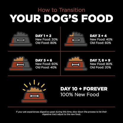 GO! SOLUTIONS Skin + Coat Care Dry Dog Food for Large Breed Adult - Salmon Recipe with Grains - Complete & Balanced Nutrition, 25 lbs