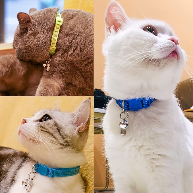 5 Pack Pet ID Tags,Custom Dog Tags Cat Tags Personalized,Dog Tags with Name Tag and Tel Address,Puppy and Kitten Collar Silver Accessories